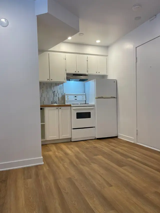 RÉNOVÉ-Appartement de 1 chambre et 1 salle de bain-À LOUER