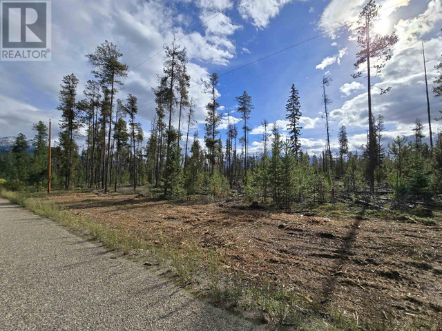 2350 BAILEY ROAD Valemount, British Columbia in Land for Sale in Quesnel - Image 3