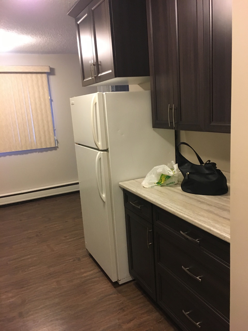 Jan Ann Apartments - 2 Br - Desired East Side location 5