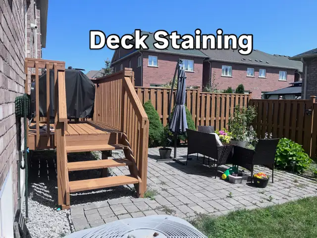 Looking for painter handyman?