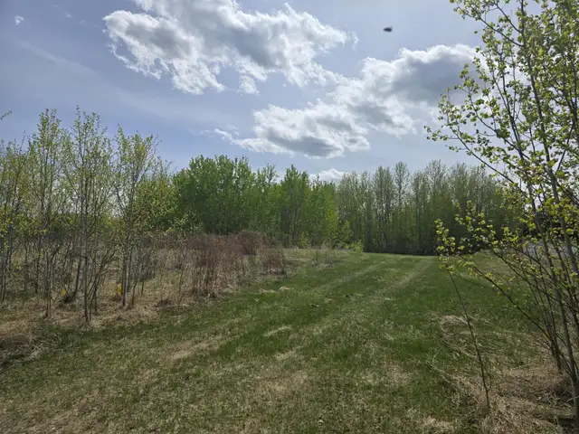 487 LAKESIDE Drive Rural Parkland County, Alberta in Land for Sale in St. Albert - Image 4