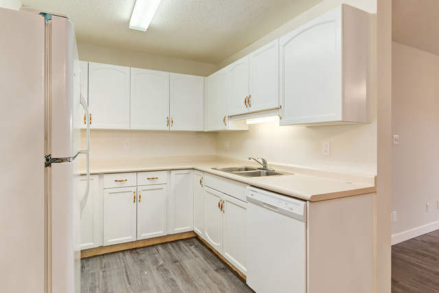 Affordable Apartments for Rent - Crowchild Court - Apartment for in Long Term Rentals in Edmonton - Image 2