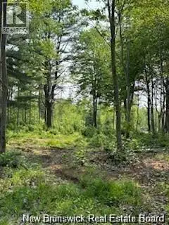 Lot Wegesegum Road Chipman, New Brunswick in Land for Sale in Saskatoon - Image 15