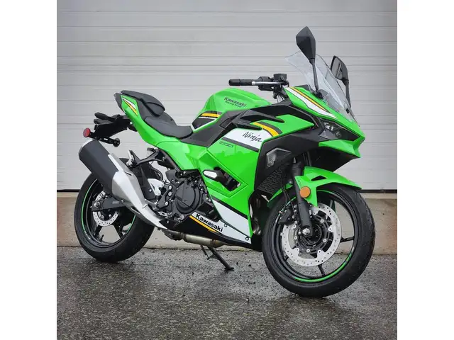 2025 Kawasaki Ninja 500 SE KRT Edition in Street, Cruisers & Choppers in Brantford - Image 3