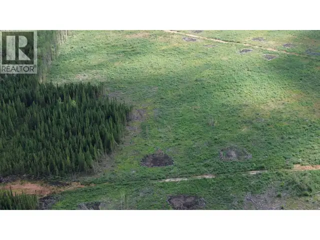 1111 BIRLEY ROAD Buick Creek, British Columbia in Land for Sale in Fort St. John - Image 17