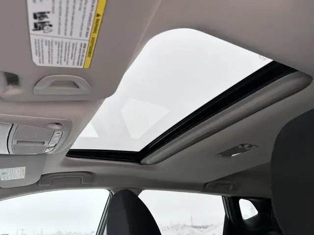 2023 Nissan Qashqai SV in Cars & Trucks in Brandon - Image 20