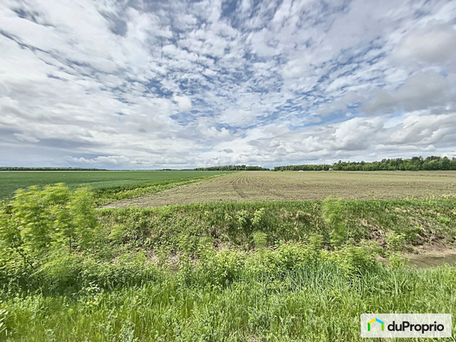 750 000$ - Terre agricole à vendre à St-Gerard-Majella dans Terrains à vendre  à Saint-Hyacinthe - Image 2