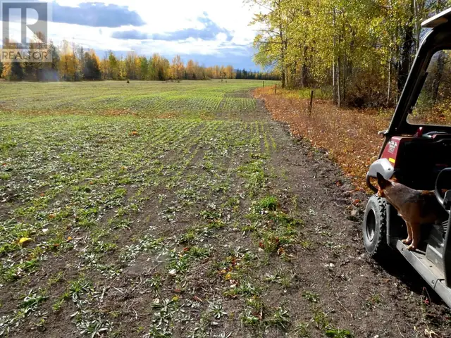 DL4905 DAY ROAD Horsefly, British Columbia in Land for Sale in Williams Lake - Image 11