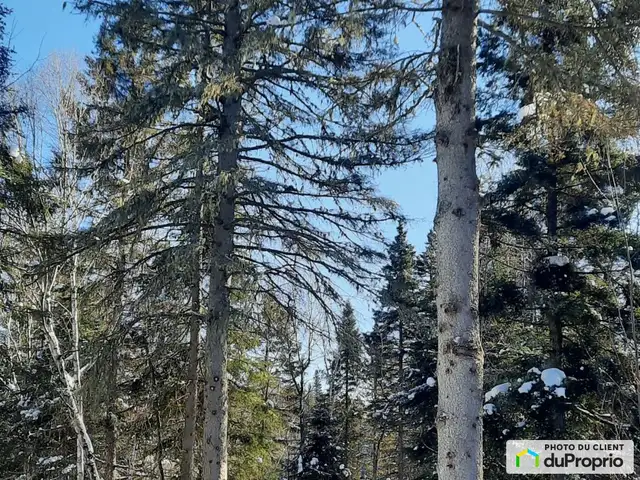 $290,000 - Price taxes not included - Residential Lot in La Baie in Land for Sale in Saguenay - Image 5