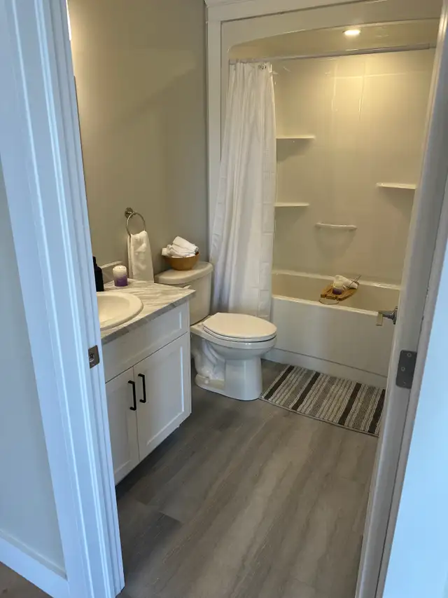 New Dog Friendly Concrete Building with FREE rent! in Long Term Rentals in Fredericton - Image 10