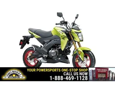Welcome to Two Wheel Motorsport Small on size but big on fun, the Kawasaki Z125 PRO motorcycle is a...