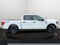 This Ford F-150 has a strong Regular Unleaded V6 3.5 L EcoBoost engine powering this Automatic trans... (image 6)