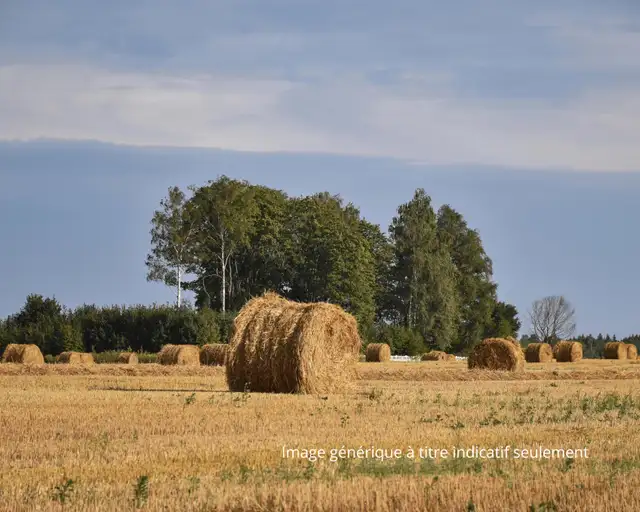 136 Hectares of Farmland on 11 Lots, Optimize Your Yields!63616723099265122