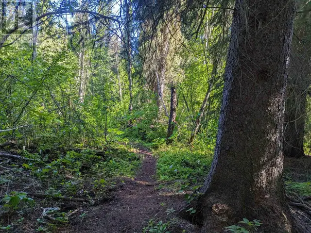LOT A HUDSON BAY MOUNTAIN ROAD Smithers, British Columbia in Land for Sale in Smithers - Image 9