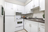 Now Leasing! Bright Newly Renovated Bachelor Suites Await You!