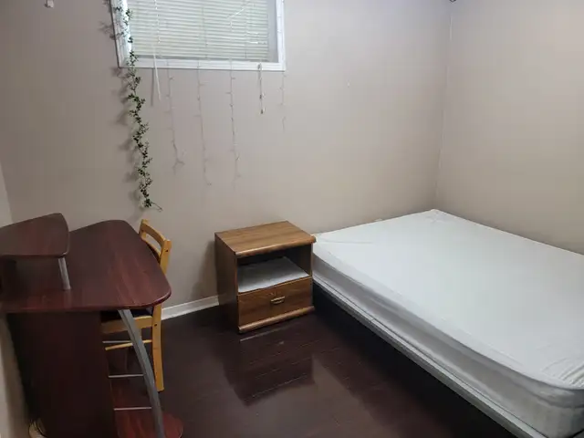 1 Bedroom Basement  Separate Entrance