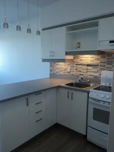 Studio Renové avec Balcon et Vue! Apartment for Rent - 1010 Cher