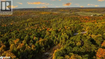 260 ACRES OF NATURAL BEAUTY WITH LIMITLESS POSSIBILITIES! Once in a lifetime, you are presented with...