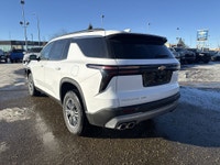 AMVIC Licensed Dealer Are you looking for an adventurous companion that matches the unyielding spiri... (image 5)