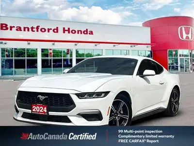 Feel the exhilarating power of the 2024 Ford Mustang I4CP, an American icon engineered for pure perf...