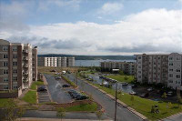 Virtual Open House: View our units by clicking the virtual tour link, schedule a video tour or make... (image 8)