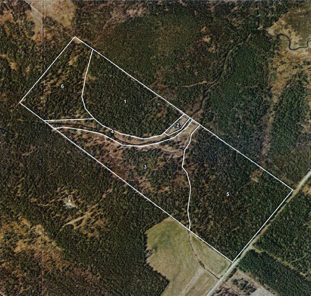 Terre à vendre au 7401 11e Rang, Disraeli dans Terrains à vendre  à Thetford Mines - Image 2