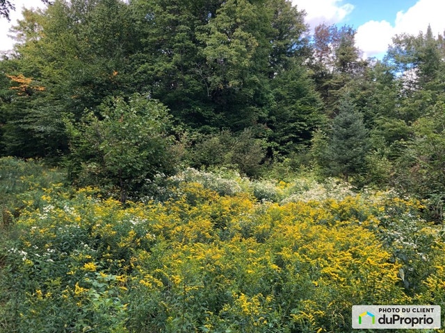 $345,000 - Price taxes not included - Residential Lot for sale — photo 3