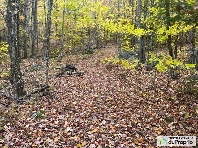 $347,900 - Land to be developed for sale in Arundel — photo 3