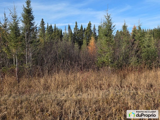 $110,000 - Wood Lot for sale in St-Godefroi — photo 3