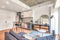 Appartement a louer-logement locatif-apartment for rent-condo rental-2.5 2 1/2 Studio-Griffintown-So... (image 5)