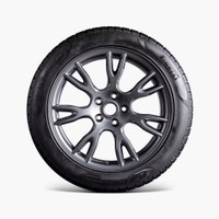 Original Tesla Model S 19" Tempest Wheel and Winter Tire Markham / York Region Toronto (GTA) Preview