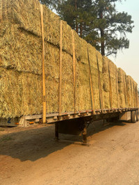 Timothy Hay  - large bales only