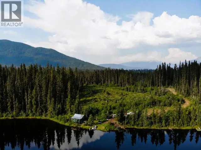 5900 BOWRON LAKE ROAD Wells, British Columbia in Houses for Sale in Quesnel - Image 3