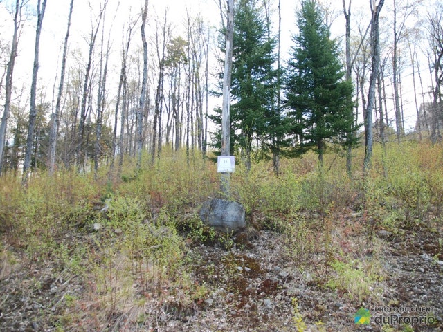 $175,000 - Residential Lot for sale in Morin-Heights — photo 3