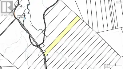 This sprawling 41+ acre parcel presents an increasingly rare opportunity to build an expansive dream...