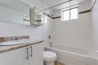2 Bed, 1 Bath, Newly Renovated Kitchen with Stainless Steel Appliances with Amazing Amenities, Spect... (image 6)