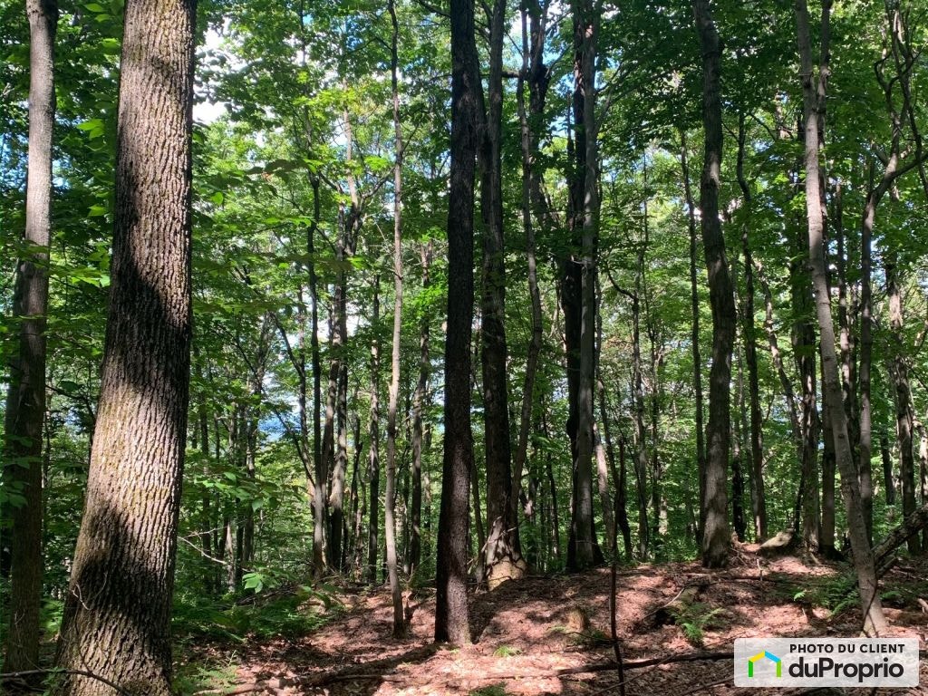 $539,000 - Residential Lot for sale in Shefford — photo 2