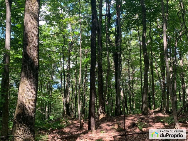$539,000 - Residential Lot for sale in Shefford — photo 2