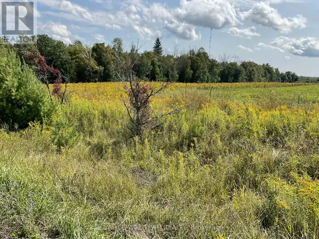 1211 BELLAMY ROAD Mississippi Mills, Ontario in Land for Sale in Ottawa - Image 2