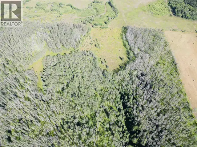 DL 941 SHAEFFER LAKE Burns Lake, British Columbia in Land for Sale in Burns Lake - Image 6