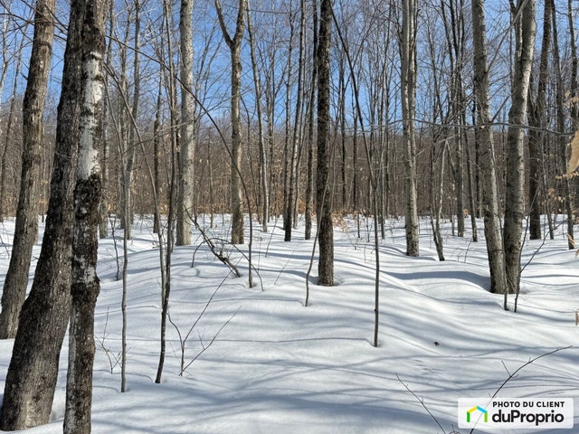 $255,000 - Residential Lot for sale in Eastman — photo 2