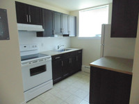 160 Johnson Ave - 1 Bedroom Apartment for Rent