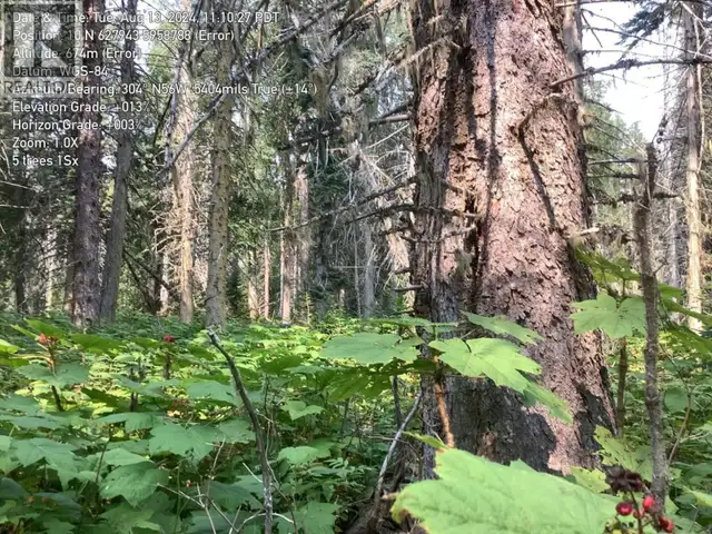 BLK D DOME CREEK Dome Creek, British Columbia in Houses for Sale in Quesnel - Image 17