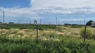 R37//Gladstone/Rural Acreage just west of Gladstone,6.17 Acres.There are a few buildings on the prop...