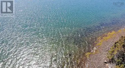 This beautiful 76 Acre property, with 1460 feet of water frontage, can be found in a sheltered seclu...