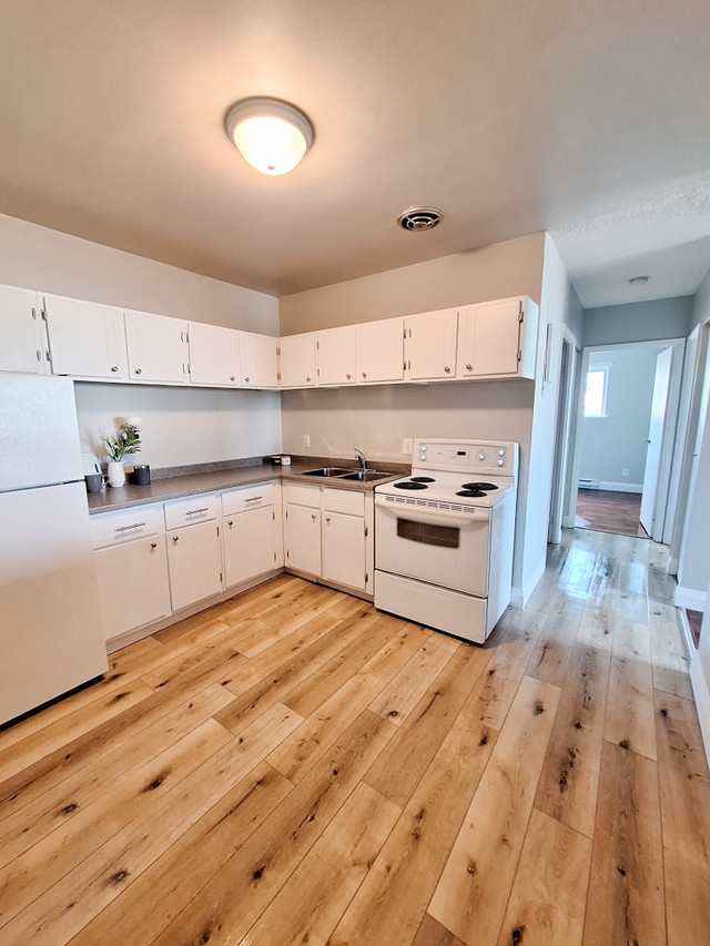2 Bedroom Apartment in SSM in Long Term Rentals in Sault Ste. Marie - Image 3