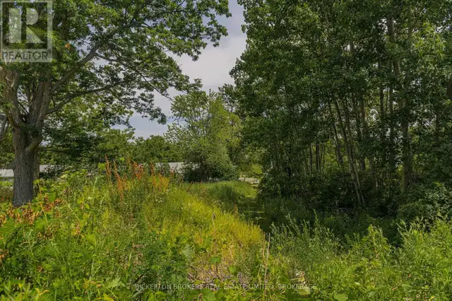 790 KING STREET W Gananoque, Ontario in Land for Sale in Kingston - Image 13