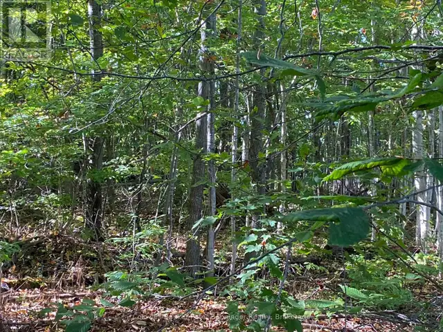 1315 CONCESSION 8 CONCESSION Kincardine, Ontario in Land for Sale in Owen Sound - Image 16