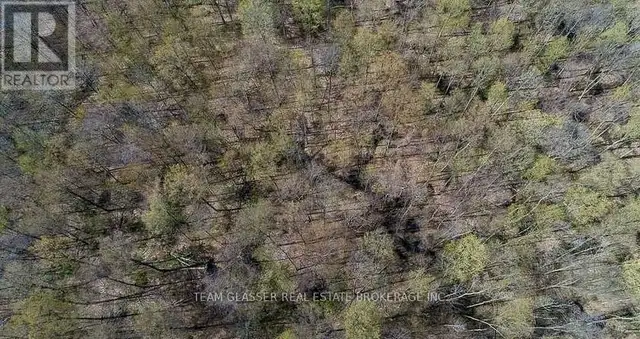 315529 31ST LINE Zorra, Ontario in Land for Sale in Woodstock - Image 6