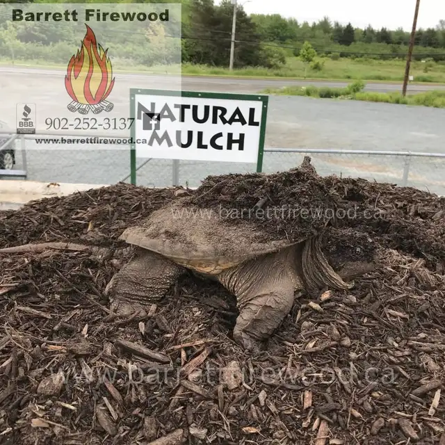 Bagged Natural Mulch65065472302594121
